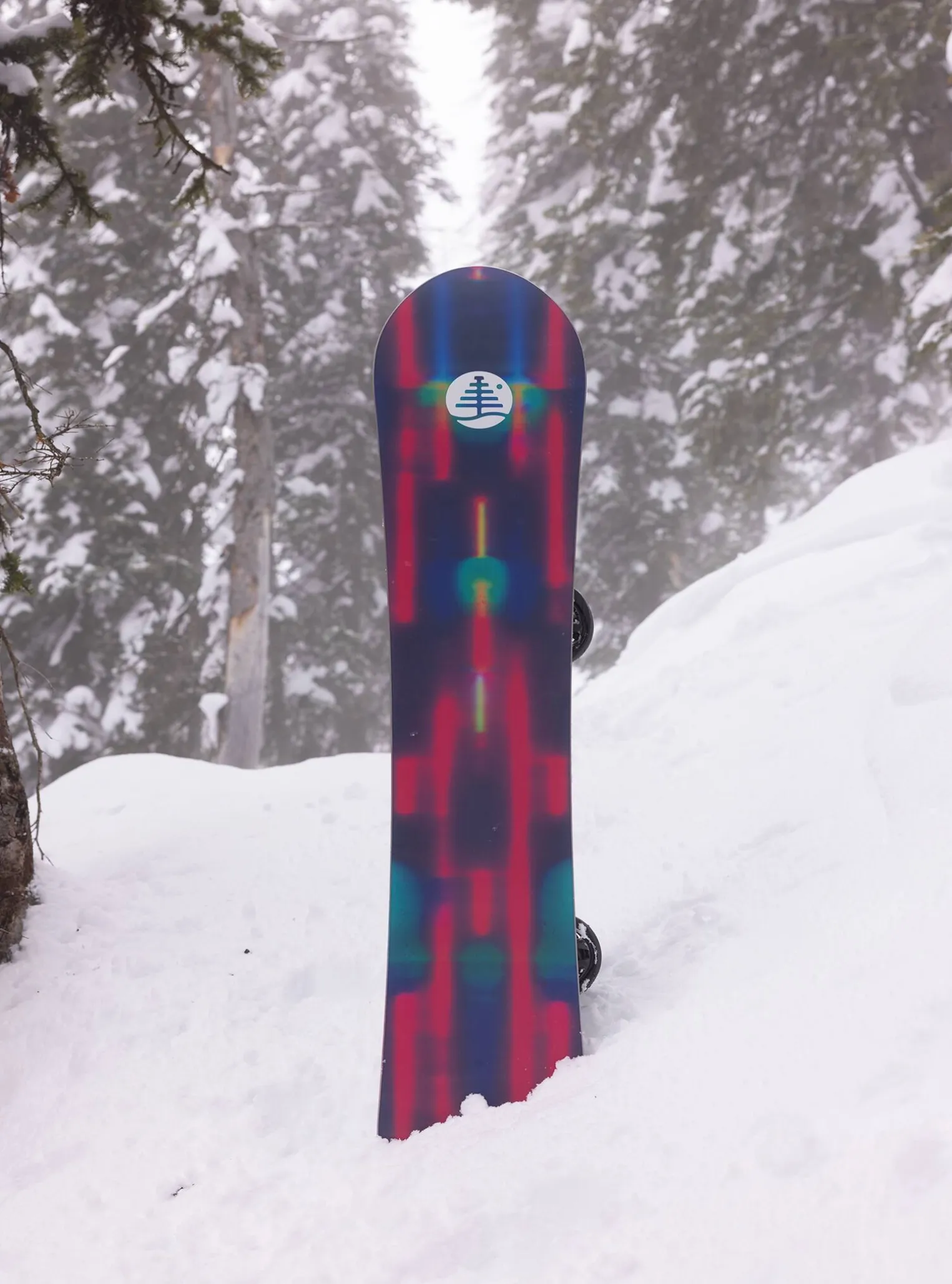 burton_family_tree_alekes_7.webp Burton Family Tree Alekesam Camber Snowboard