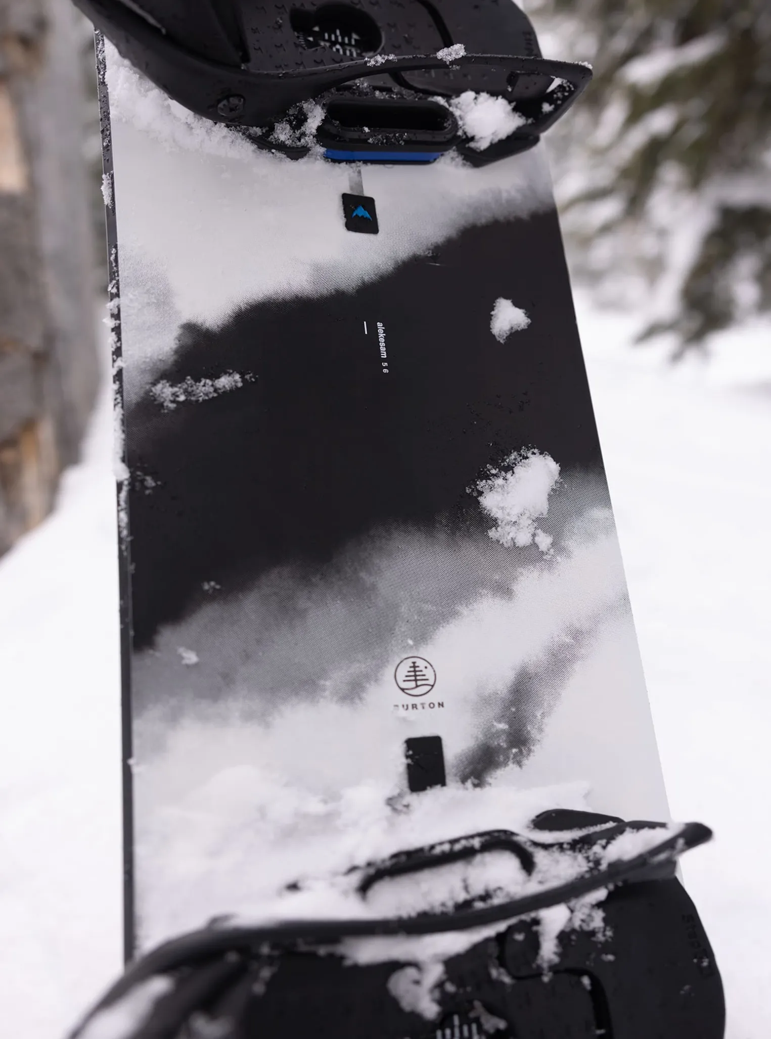 burton_family_tree_alekes_8.webp Burton Family Tree Alekesam Camber Snowboard