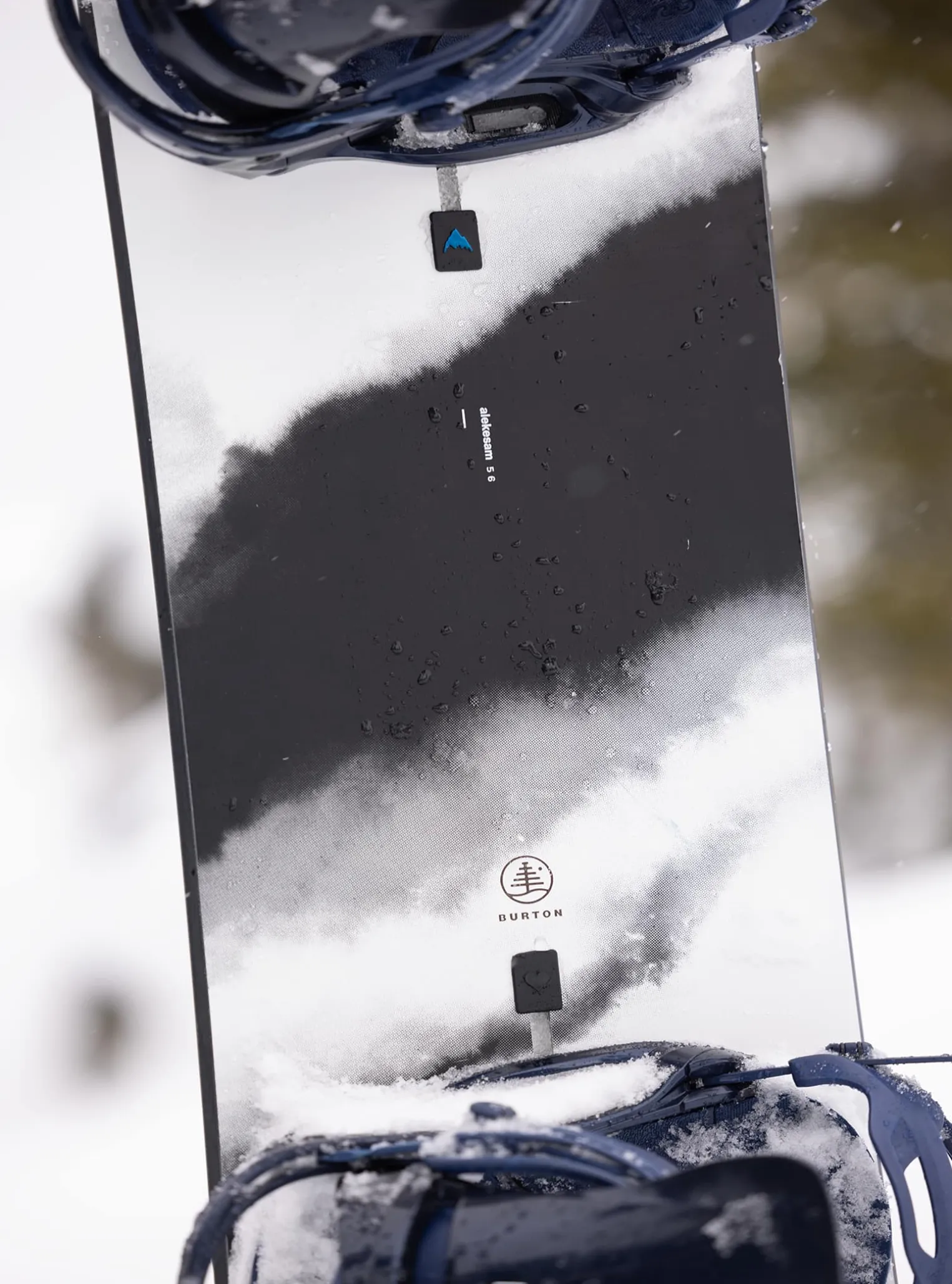burton_family_tree_alekes_9.webp Burton Family Tree Alekesam Camber Snowboard
