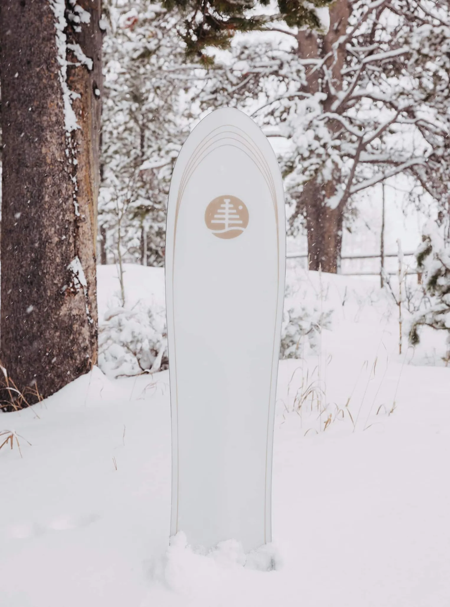 burton_family_tree_backse_3.webp Burton Family Tree Backseat Driver Pow Surfing Snowboard