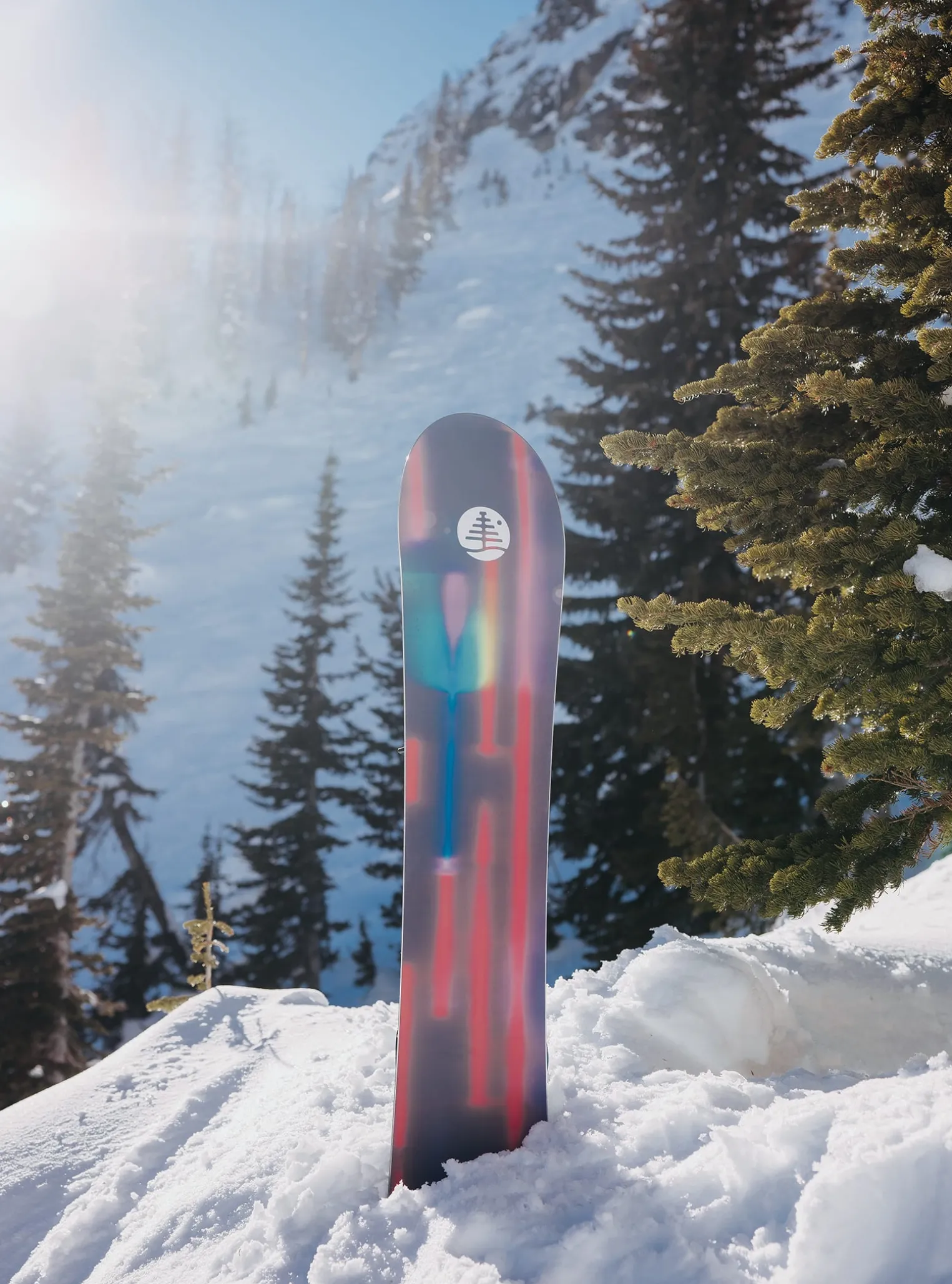 burton_family_tree_gril_m_7.webp Burton Family Tree Gril Master Camber Snowboard