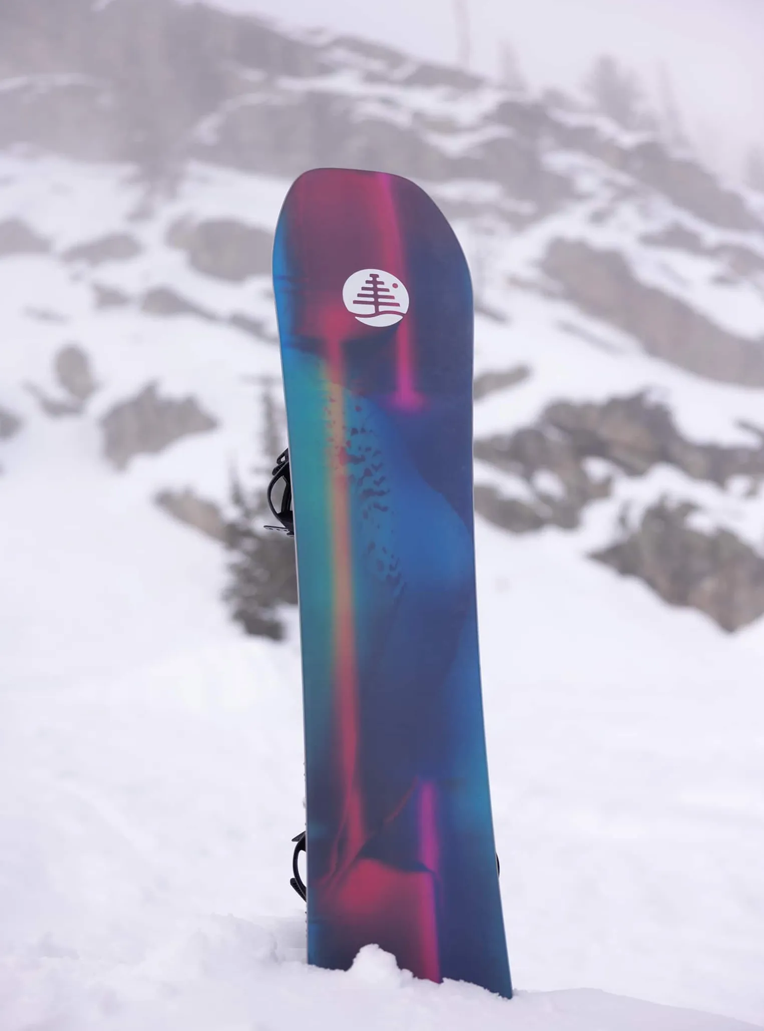 burton_family_tree_high_f_6.webp Burton Family Tree High Fidelity Camber Snowboard