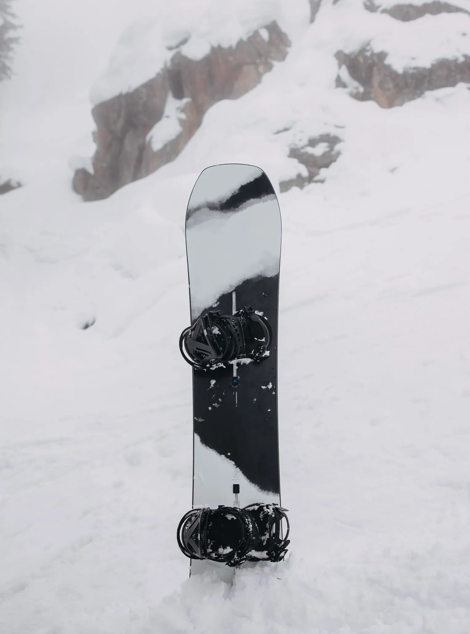 burton_family_tree_hometo_6-1.webp Burton Family Tree Hometown Hero Camber Snowboard