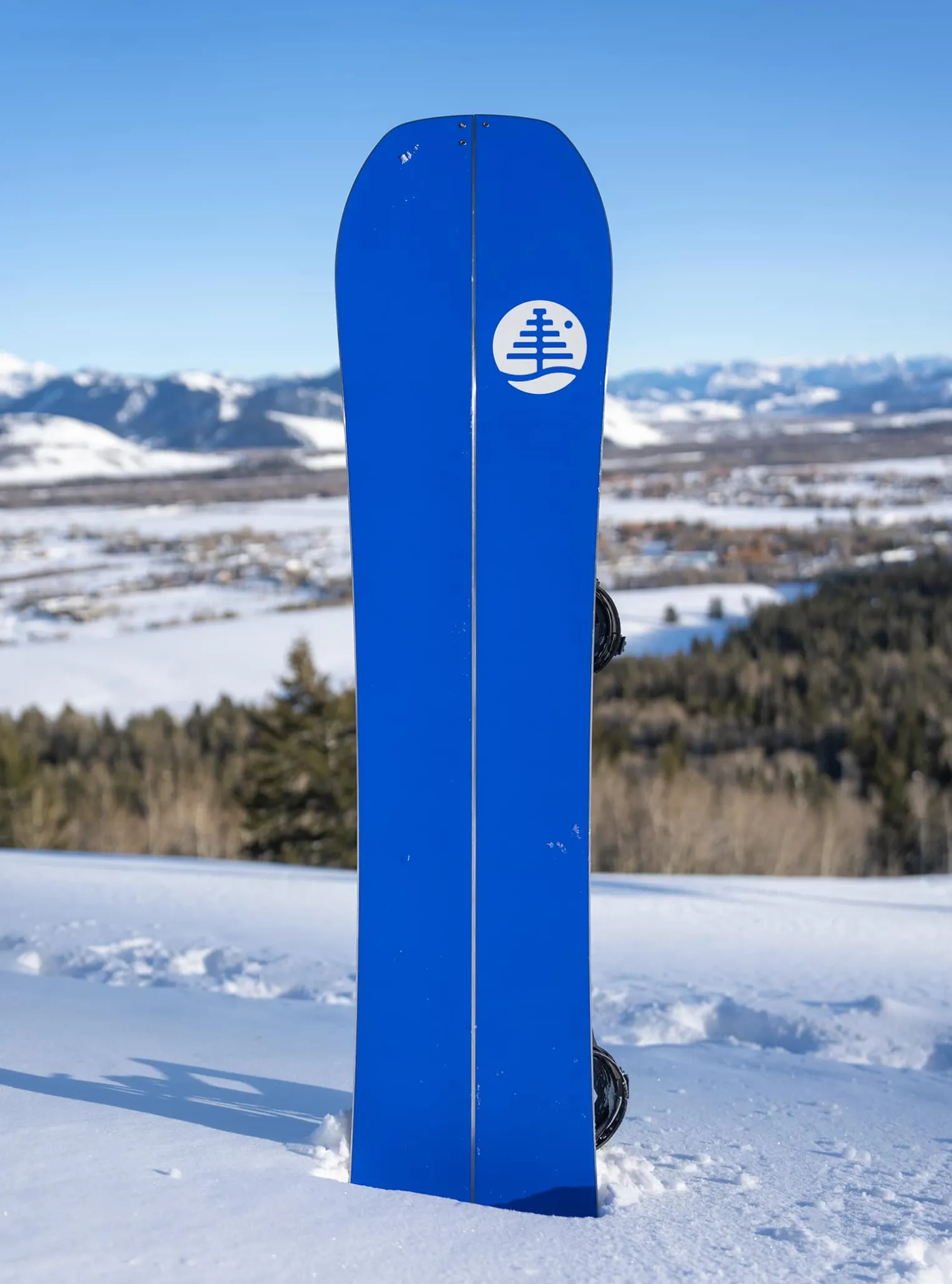 burton_family_tree_hometo_6.webp Burton Family Tree Hometown Hero Camber Splitboard