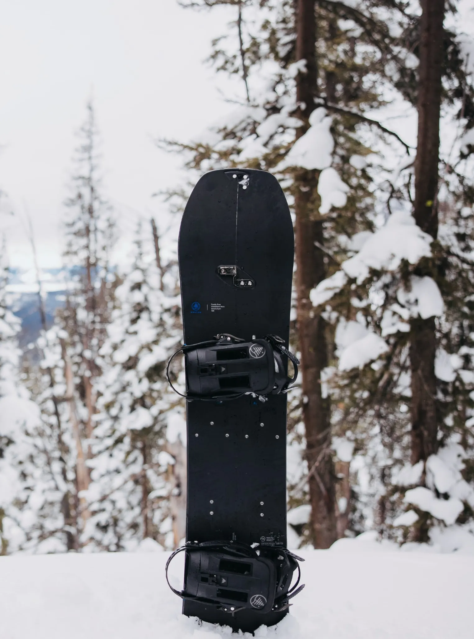 kids_burton_family_tree_h_6.webp Kids' Burton Family Tree Hometown Hero Smalls Camber Splitboard