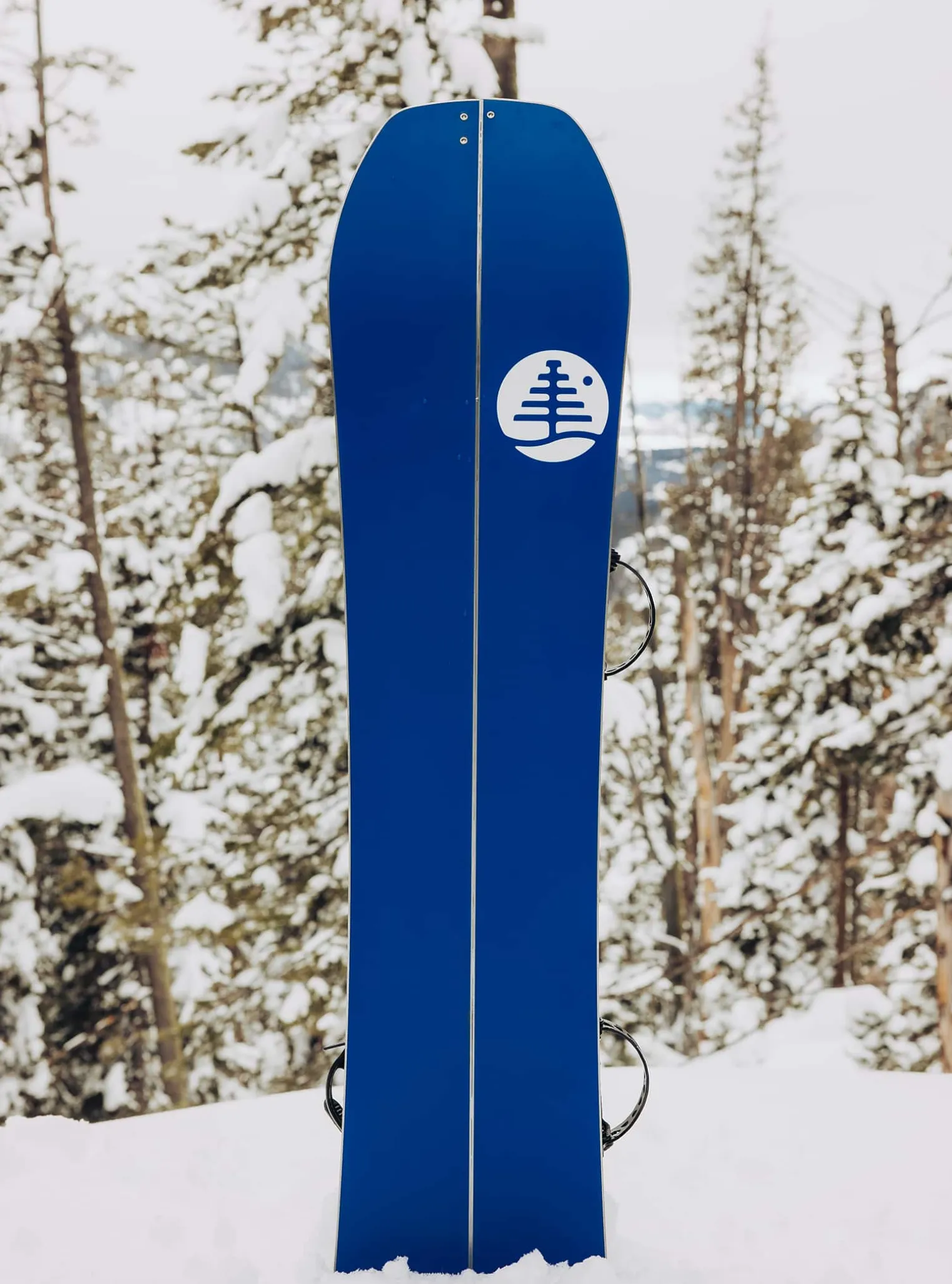 kids_burton_family_tree_h_7.webp Kids' Burton Family Tree Hometown Hero Smalls Camber Splitboard